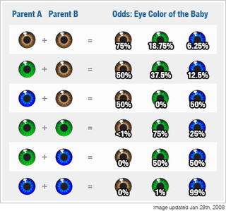 baby_eye_color_odds.png
